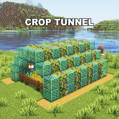 Minecraft Crop Tunnel ✅ Follow for OP Minecraft Builds 📢 Share with your Friends 💬 Rate this Build 1-10 🔖Tags 🔖 #minecraft #minecraftbuilds #minecrafters #minecraftpe #minecraftmemes #mınecraftideas #minecraftbuild #minecraftbuilding #minecraftbuilding #minecrafttutorial #minecraftonly #mcpe #minecraftpc #minecraftcreations #minecraftdaily #minecraftdesign #minecraftjava #minecrafts #minecraftyoutuber #gaming Minecraft Lore Builds, Minecraft Mountain Tunnel, Minecraft 1.21 Builds, Minecraft Tunnel Designs, Minecraft Tunnel, Minecraft Farming, Minecraft Mountain, Mc Build Ideas, Minecraft Idea