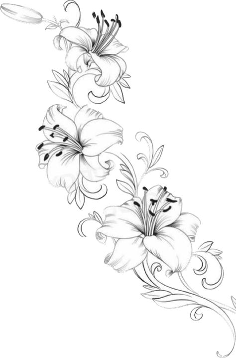 Lily Side Tattoos Women, Star Gazing Lily Tattoo, Azealia Flower Tattoo, Lilly Flower Tattoo Sleeve, Pink Lily Flower Tattoo, Lilly And Butterfly Tattoo Ideas, Lilly Shoulder Tattoos For Women, Fine Line Lilly Tattoo, Orchid Vine Tattoo