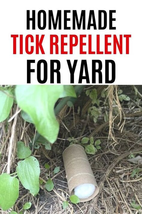 Easy Homemade Natural Tick Killer for a Lawn or backyard. Enjoy your outdoor space and protect your dog and yourself from backyard ticks. How To Repel Ticks On Humans, Natural Tick Repellent For Dogs, Diy Tick Repellent For Dogs, How To Get Rid Of Ticks In Yard, Natural Tick Repellent For Yard, Tick Control For Yard, Ticks On Humans, Tick Spray For Yard, Tick Repellent For Humans