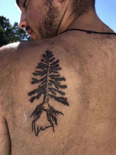 Pine tree kid Traditional Pine Tree Tattoo, Tree Tattoo Shoulder, Tattoo Shoulder Blade, Tree Tatto, Tribute Tattoo, Birthday Tattoos, Tribute Tattoos, Tattoo Shoulder, Pine Tree Tattoo