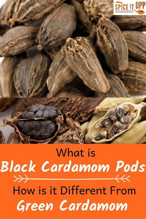 What Is Black Cardamom Pods : Uses, Benefits and Substitutes - Spiceitupp Cardamom Benefits, Cardamom Plant, Female Youtubers, Essential Spices, Cardamom Recipe, Indian Spice Box, Black Cardamom, List Of Spices, Cardamom Pods