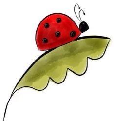 Ladybug On Leaf, Ladybug Art, 수채화 그림, Rock Painting Designs, Art Download, Art Drawings For Kids, Rock Crafts, Watercolor Cards, Doodle Drawings