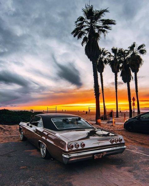 Brown Lowrider, Synthwave Fashion, Vw Wagon, Sunset Palm Trees, Night Stalker, Low Riding, New Retro Wave, Lowrider Cars, Old School Cars