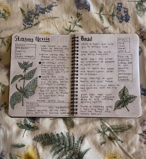 Vintage Journaling Ideas, Herb Aesthetic Wallpaper, Herbal Garden Aesthetic, Plant Medicine Aesthetic, Herbology Notes, Herbal Journal Ideas, Herbalism Notes, Herb Journal Ideas, Herbal Witch Aesthetic