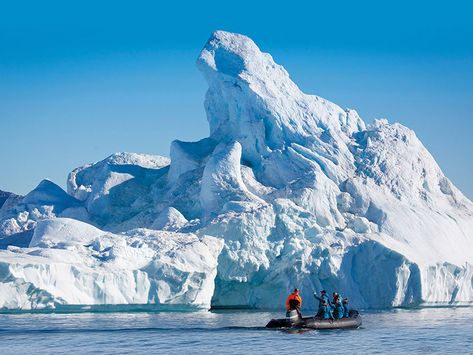 What You Need To Know About The Arctic - Polar Routes Blog Svalbard Reindeer, Cruise Activities, See The Northern Lights, Arctic Fox, Midnight Sun, Archipelago, Cruises, Polar Bear, Kayaking