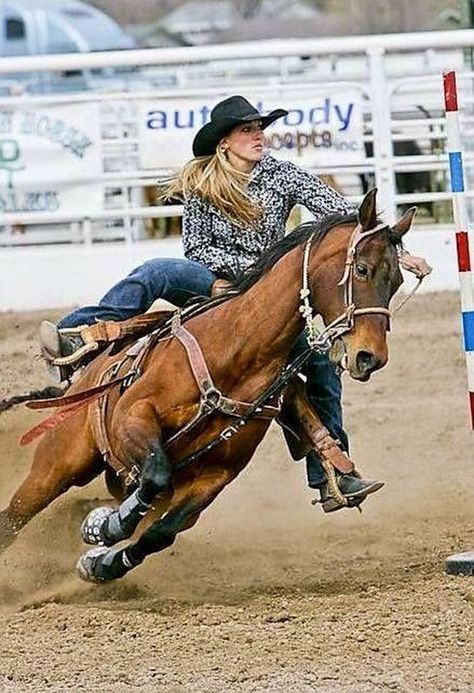 Horse Eventing, Barrel Race, Foto Cowgirl, Painting Horse, Rodeo Cowboys, Barrel Racing Horses, Rodeo Horses, Wilde Westen, Paint Horse