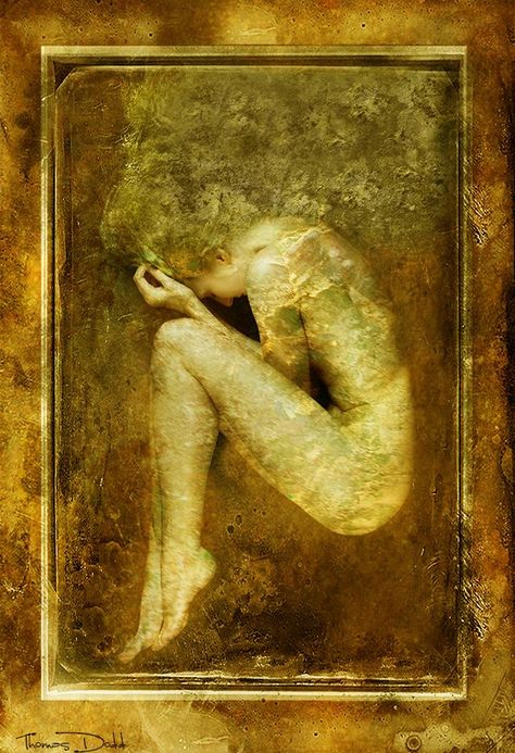 Cocoon (© 2014 by Thomas Dodd) model - Eva Metamorphosis Art, Medical Drawings, Kintsugi Art, Fetal Position, Art Theme, Ap Art, Abstract Drawings, Dreamy Art, Art Poses