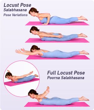 Locust Pose, 10 Yoga Poses, Yoga Anatomy, Yoga Tutorial, Yoga Positions, Bikram Yoga, Iyengar Yoga, Increase Metabolism, Cool Yoga Poses