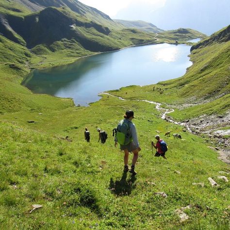 🗻✨ On our Switzerland Hiking Adventure, join a charged-up group of Wild Women eager to tear up some terrain in the face of granite mammoths. We are rewarded with some serious panoramas from the Schynige Platte and Gemmi Plateau. The mighty jagged-tooth Matterhorn straddles the border of Switzerland and Italy, making the region a magnet for hikers who love the punishing ascents and meadows blurred with alpine wildflowers. 🥾 Link in Bio 🔗 Discover Swiss charm like never before. Don't miss out... Saxon Switzerland National Park, Bohemian Saxon Switzerland National Park, Alpine Wildflowers, Hardergrat Trail Switzerland, Switzerland Hiking, Fishtail Mountain Nepal, Himalayas Mountain Range, Hiking Adventure, Wild Woman