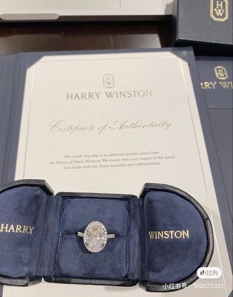 Harry Winston Engagement, Future Engagement Rings, Food Jewelry, Authentic Jewelry, Harry Winston, Classy Jewelry, Dream Engagement Rings, Dream Engagement, Expensive Jewelry