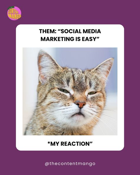 When they said that...😾😼IYKYK😂 Let's turn off our midweek blues by sharing memes. What's your favourite meme about #socialmediamarketing ? Do let us know in the comments. . . . ❤️Follow @thecontentmango 😇Share this with your Friends 🙌Save this for later #meme #socialmediamemes #socialmedia #socialmediaagency #socialmediamanager #digitalmarketing #contentcreator #digitalcreator #contentmarketing #share #femaleentrepreneur #entrepreneurlife #smallbusiness [memes, social media, social media m... Social Media Comments, Digital Marketing Content, Social Post, Marketing Content, They Said, Content Ideas, Post Ideas, Goods And Service Tax, Turn Off