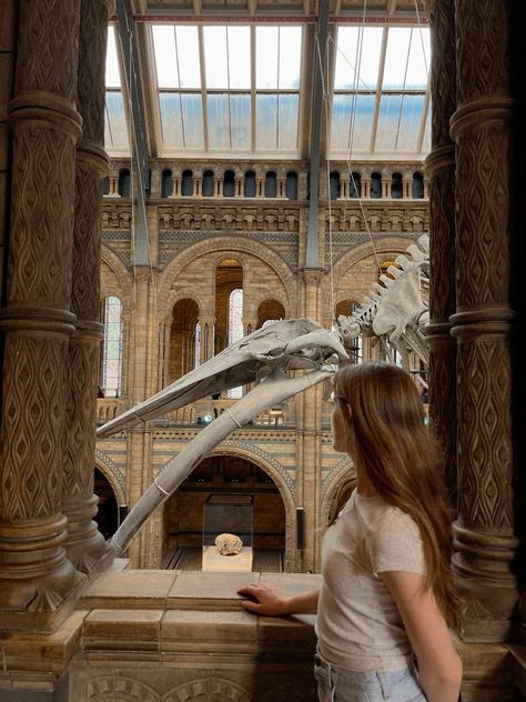 British Natural History Museum, London Museum Of Natural History, British Museum Aesthetic, London History Museum, Aesthetic London Pictures, History Museum Aesthetic, England Culture, Museum Portrait, London Girl Aesthetic