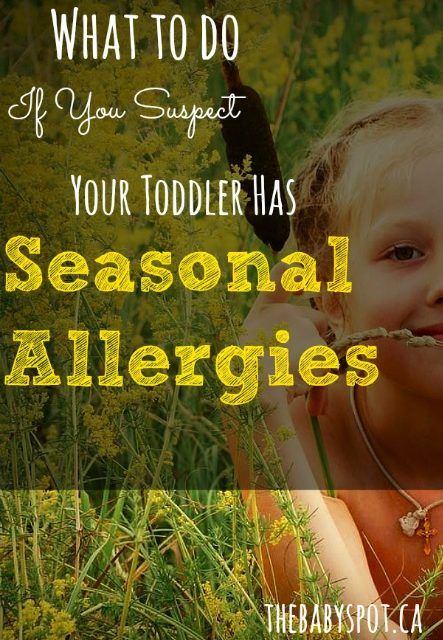 What to Do If You Suspect Your Toddler Has Seasonal Allergies Seasonal Allergy Remedies, Toddler Allergies, Stuffed Nose, Kids Allergies, Allergy Remedies, Potty Training Tips, Newborn Hacks, Seasonal Allergies, Country Kids