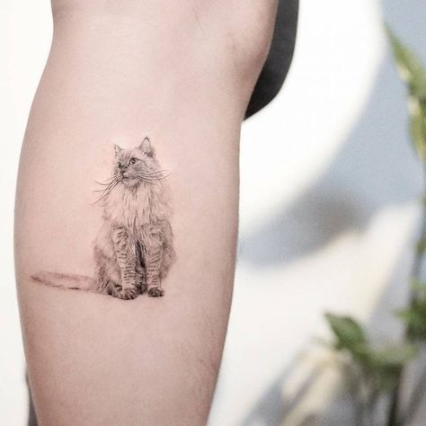 Ragdoll. Tattoo. Realistic tattoo. Cat Lover Tattoo, Tattoo Gato, Cat Portrait Tattoos, Cat Tattoo Ideas, Sunflower Tattoo Sleeve, Jewel Tattoo, Mini Tattoo, Cat Tattoo Designs, Cute Tiny Tattoos