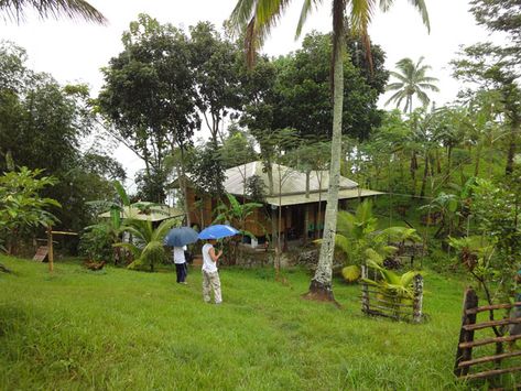 CALINAN FOR SALE: Lot / Land / Farm Farm Lot Philippines, Davao Del Sur, Palace Resorts, Davao City, Beautiful Cottages, Davao, Residential House, Mountain Resort, Cebu