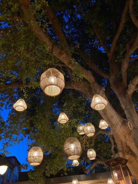 #nightlife #nightlight #lantern #nightsky Outdoor Tree Lantern Lights, Outdoor Hanging Lanterns Trees, Wicker Lanterns Wedding, Rattan Lighting Wedding, Lanterns In Trees, Hanging Tree Lights, Lantern Tree, Hanging Rattan Lanterns Wedding, Coolest Restaurants