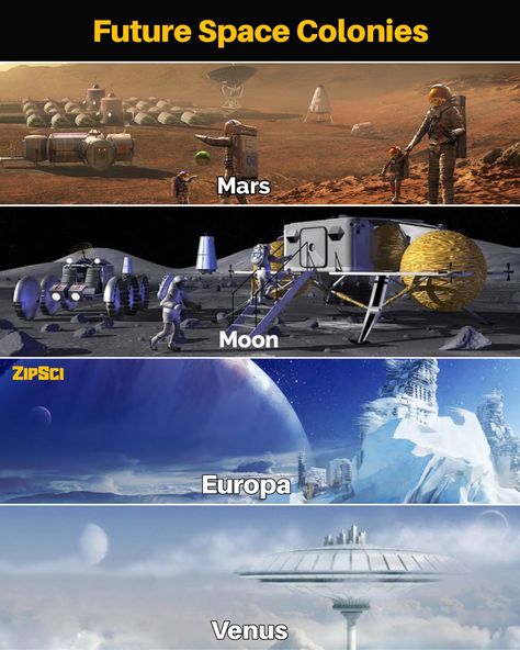 Space Colony Concept Art, Space Colony Concept, Moon Colony, Space Colonization, Mars Colony, Space Colony, Funny Horse Videos, Space Family, Space Concept