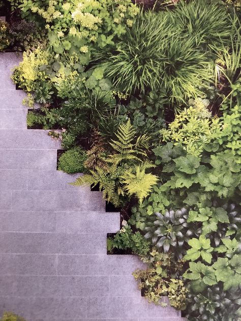 Paving edge - linear paving from design by Stefano Marinaz Landscape Paving Design, Planting Between Paving, Paving With Plants In Between, Linear Landscape Design Plan, Stepped Landscape Architecture, Linear Garden, Stefano Marinaz, Permeable Paving Landscape Architecture, Paving With Planting Gaps