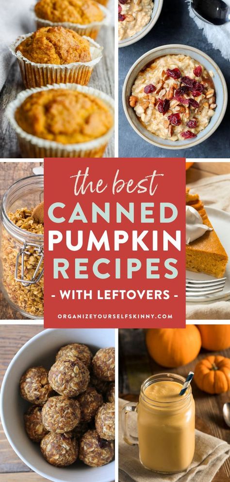 What To Do With A Can Of Pumpkin, Healthy Recipes With Canned Pumpkin, What To Do With Canned Pumpkin, Healthy Canned Pumpkin Recipes, Uses For Canned Pumpkin, Canned Pumpkin Recipes Easy Healthy, Canned Pumpkin Recipes Healthy, Canned Pumpkin Recipes Easy, Recipes Using Canned Pumpkin