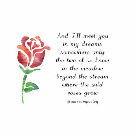 A.M. Ream Poetry on Instagram: ““In My Dreams” #amreampoetry #love #poem #poetry #dreams #rose #roses #romance #somewhereonlyweknow #tb #throwback #oldie” Quotes Poetry Short, Rose Quotes Poetry Short, Poems With Roses, Red Roses Quotes, Rose Quotes Poetry, Poem About Roses, Poetry About Flowers And Love, Poems About Roses, Rose Poems Quotes Beautiful