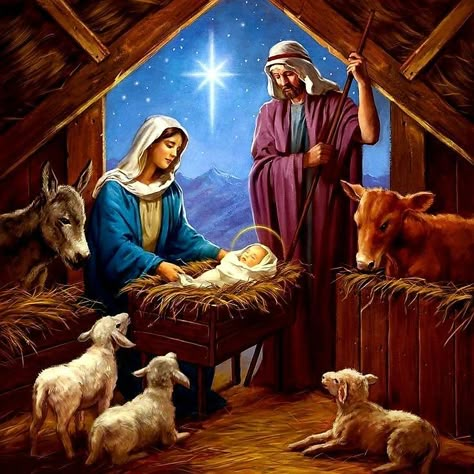 Christmas Nativity Images, Nativity Scene Pictures, Merry Christmas Jesus, City Of David, Luke 2 11, Blessed Mother Statue, Beautiful Christmas Scenes, Merry Christmas Pictures, Jesus And Mary Pictures