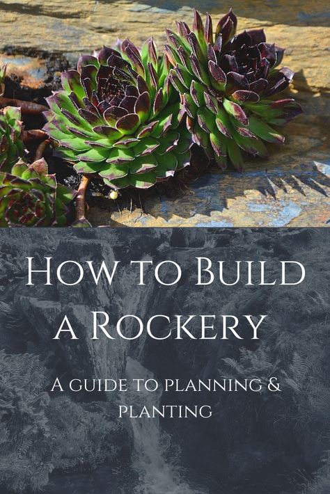 Rockery Garden Ideas Diy, Rocky Gardens Ideas, Rocks In The Garden, How To Build A Rockery, Rockery Ideas, Rockery Garden Ideas Slope, Rockery Plants, Rock Features In Garden, Rocky Soil Gardening