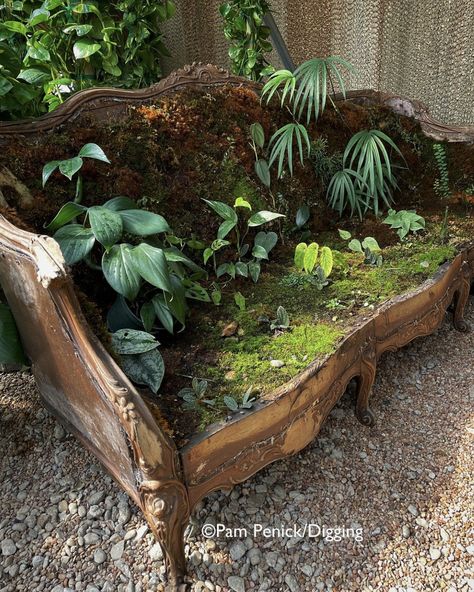 Pretty Yard Ideas, Mossy Furniture, Ecogoth Aesthetic, Goth Greenhouse, Fae Trap, Maximalist Garden, Fairycore Garden, Haunted Garden, Goth Garden