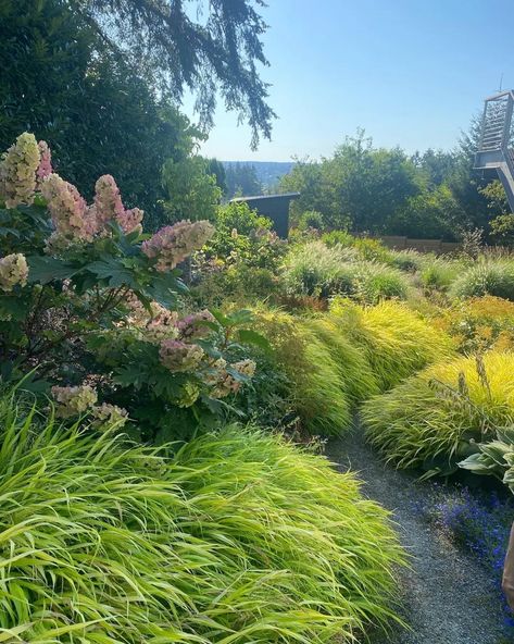 Pnw Garden, Pacific Northwest Garden, Small Trees For Garden, Northwest Landscaping, Privacy Plants, Drought Tolerant Landscape, Backyard Garden Landscape, Smart Garden, Side Garden