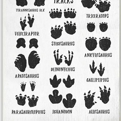 I saw the same track print, that's tattooed on the side of my foot, at the gym. Interesting. It was little on the ground, but there it was. Like a dinosaur print, in the first photo, that's it, in the tan. What are the chances, I'd see that?, And have that tattoo already, highly unlikely. T-rex Art, Dino Tracks, Dinosaur Activities Preschool, Dinosaur Tracks, Dinosaur Drawing, Dinosaur Activities, Tyrannosaurus Rex, Stupell Industries, Art Kids