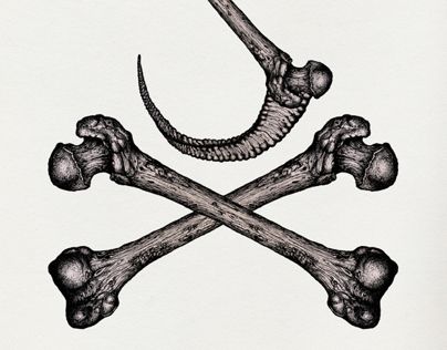 Cross Bones Drawing, Cross Bones Tattoo, Bone Illustrations, Black Widow Spider Tattoo, Bones Tattoo, Hatch Drawing, Bone Drawing, Occult Tattoo, Reference Board