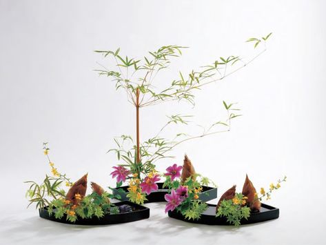 Hiroki Ohara Ikebana Flower, Ikebana Flower Arrangement, Ikebana, Flower Arrangement, Flower Arrangements, Plants, Flowers