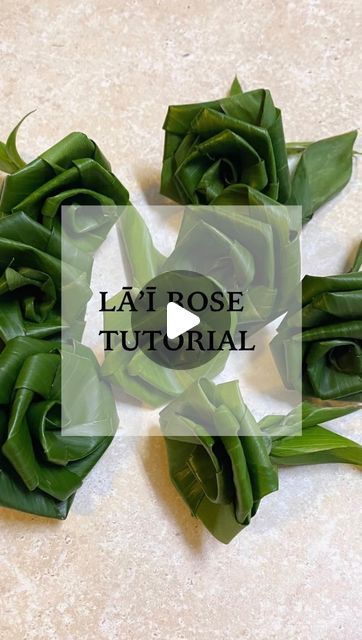 131K views · 15K likes | Lei & Floral Designs 🌺 by Brittanie C on Instagram: "Demonstrating how I create roses out of ti leaves ✨ Mahalo to my hula sis for the request! Decided to upload the video to share with you all too. How to soften ti leaves: 1. Boil water and submerge leaves for less than a minute 2. Microwave with a damp paper towel in 15-30 second intervals 3. Freeze for a few hours then let it defrost I can make a video going deeper into these mentioned methods with pros/cons etc, just let me know ☺️ Hope this helps! 🫶🏽 ^ ^ ^ #hoonanihawaii #hoonanifloral #leipoo #leimaking #lei #leialoha #hawaiiflowers #hawaiiwedding #oahuwedding #hawaiiphotography #oahuphotography #hawaiistagram #hawaiilife #hawaiifashion #hawaiistyle #madeinhawaii #hawaiismallbusiness #madewithaloha How To Make Leis, Flower Lei Diy, Hawaiian Flower Arrangements, Hawaii Flowers, Diy Graduation Gifts, Flower Lei, Hawaiian Lei, Rose Tutorial, Polynesian Designs