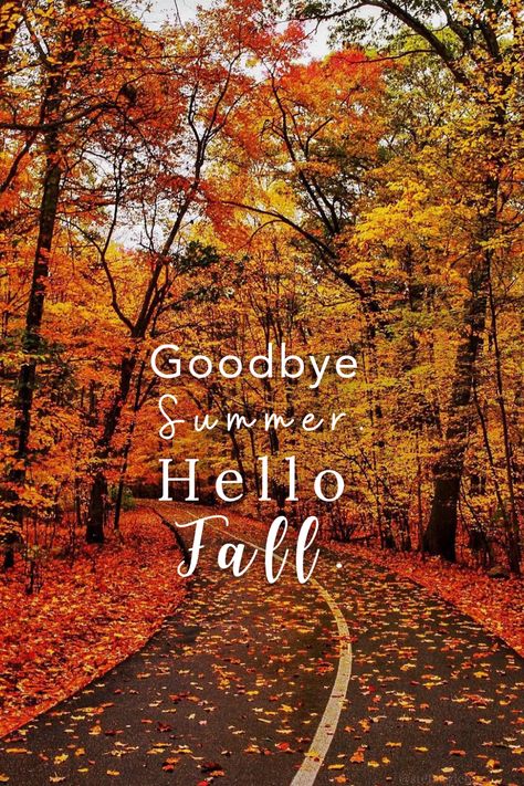 #firstdayoffall #hellofall #goodbyesummer #fall First Day Of Fall 2024, Happy First Day Of Fall Images, Goodbye Summer Hello Autumn, Goodbye September, Goodbye Summer Hello Fall, 1st Day Of Fall, September Vibes, Cute Little Quotes, America Flag Wallpaper