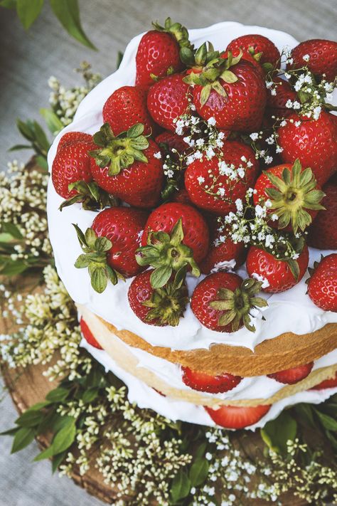 A Midsummer Celebration by HonestlyYUM + Spotted SF | honestlyyum.com @honestlyyum #midsummer #picnic Elderflower Cake, Summer Solstice Party, Delicious Strawberry Cake, Solstice Party, Brownie Desserts, Oreo Dessert, Strawberry Cakes, Chiffon Cake, Summer Solstice