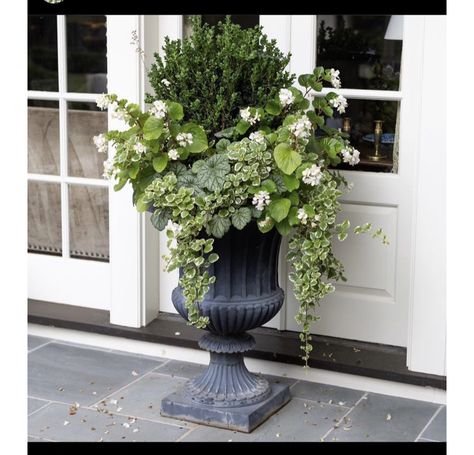 Boxwood Planters, Spring Containers, Front Porch Flower Pots, Summer Planter, Boxwood Garden, Fall Container Gardens, Spring Planter, Porch Flowers, Container Garden Design