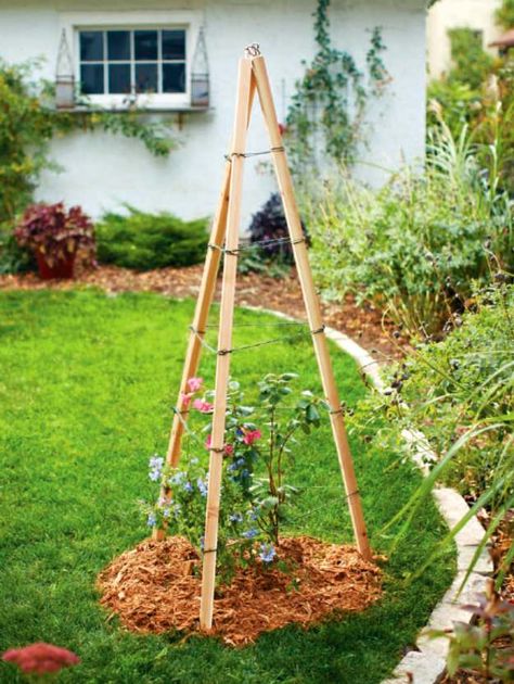 Diy Garden Trellis Ideas, Garden Trellis Ideas, Low Maintenance Garden Design, Ponds For Small Gardens, Vegetable Garden Planner, Diy Garden Trellis, Trellis Ideas, Vegetable Garden Raised Beds, Cheap Pergola