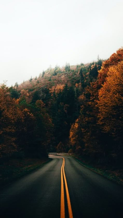 Fall Homescreen Wallpaper Aesthetic, Fall Aesthetic Lockscreen, Fall Homescreen Wallpaper, Ginger Aesthetic, Fall Homescreen, Path Way, Fall Aesthetics, Mountain Images, Asphalt Road