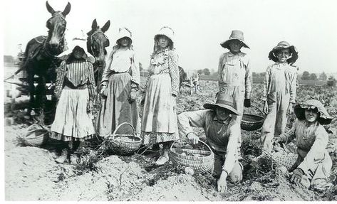 The pioneers were the first people to settle in the frontiers of North America. The majority of pioneers came from Europe, although pioneers had many different jobs. Some were farmers, missionaries… Farmers Life, Berks County Pa, Pioneer Families, Pioneer Life, Farm Boys, Farm Photo, Heritage Center, Vintage Farm, Rural Life