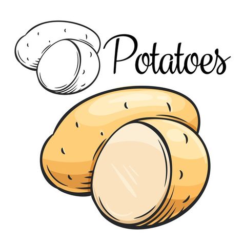 Potato Doodle Drawing, Potato Drawing Cute, Potatoes Drawing, Potato Icon, Potato Drawing, Color Lesson Plans, Potato Art, Vegetables Drawing, Vegetable Drawing