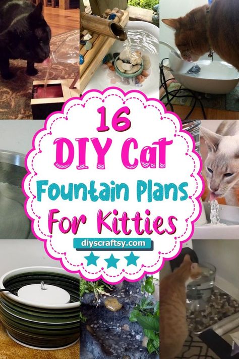 DIY Cat Fountain Plans Diy Cat Drinking Fountain, Dog Fountain Outdoor Diy, Cat Fountain Drinking Water, Diy Cat Fountain How To Make, Diy Pet Fountain, Diy Pet Water Fountain, Diy Cat Fountain, Diy Cat Water Fountain, Cat Playground Diy