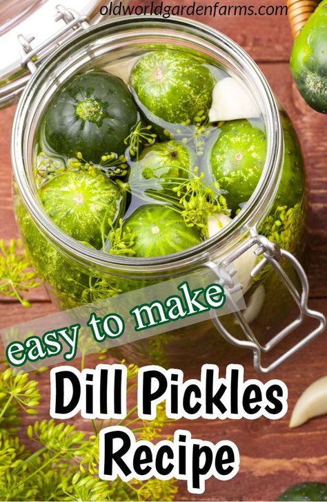 Easy Dill Pickle Recipe, Easy Dill Pickles, Making Dill Pickles, Refrigerator Pickle Recipes, Homemade Pickles Dill, Kosher Dill Pickles, Pickle Recipes Homemade, Dill Pickle Recipe, How To Make Pickles