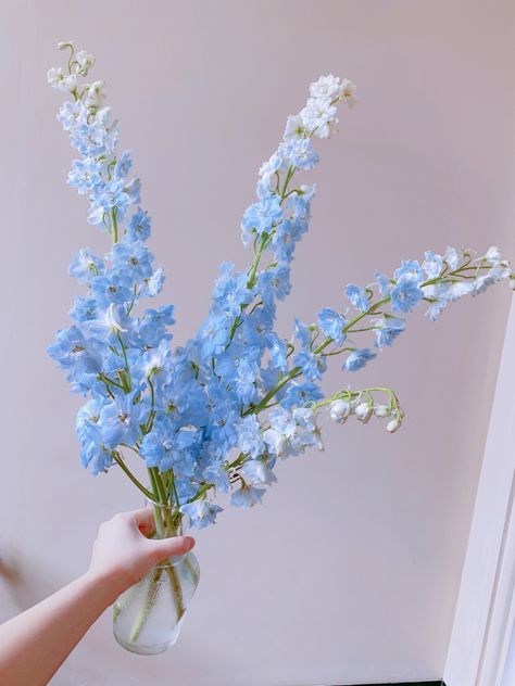 Blue Flower Arrangements, Flowers To Draw, Delphinium Flowers, Aesthetic Plants, Bridal Details, Light Blue Flowers, Taste The Rainbow, Flower Centerpieces Wedding, Flower Names