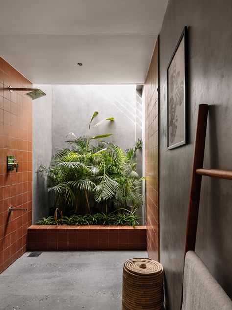 Tropical Residence, Bathroom Jungle, Bathroom Plant, Dental Office Design Interiors, Tropical Bathroom, Studio 17, Organic Lifestyle, Resort Design, Bathroom Plants