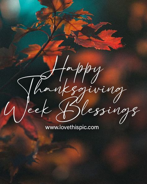 Happy Thanksgiving Week Blessings quotes thanksgiving happy thanksgiving thanksgiving week happy thanksgiving week thanksgiving week blessings thanksgiving blessings for the week happy thanksgiving week 2023 thanksgiving week pictures Week Blessings Quotes, Blessings For The Week, Happy Thanksgiving Week, 2023 Thanksgiving, Quotes Thanksgiving, Week Blessings, Thanksgiving Happy, Thanksgiving Week, Thanksgiving Blessings