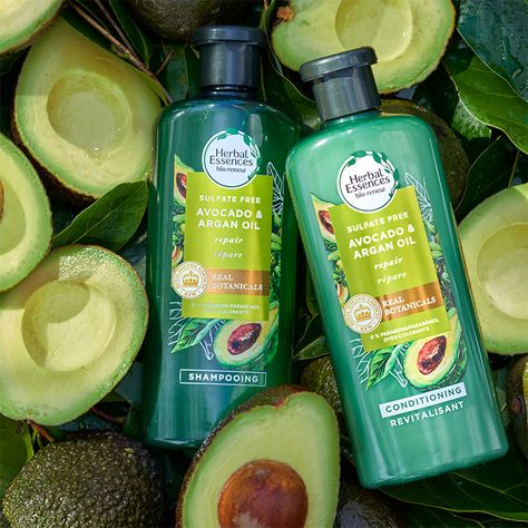 Avocado & Argan Oil Shampoo | Herbal Essences Avocado Shampoo, Herbal Essence Shampoo, Argan Oil Conditioner, Argan Oil Shampoo, Herbal Essences, Perfume Lover, Sulfate Free Shampoo, Real Ingredients, Kew Gardens