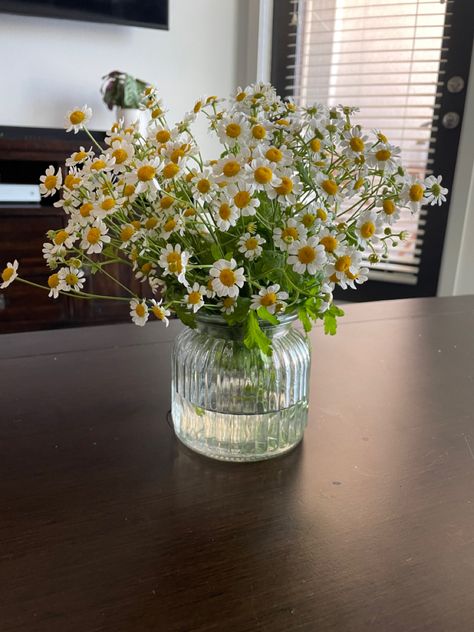 Flowers Build Your Own Couch, Daisies In A Vase, Oopsie Daisy, Daisy Bouquet, Daisy Painting, Nothing But Flowers, Green Vase, Chamomile Flowers, Living Room Makeover