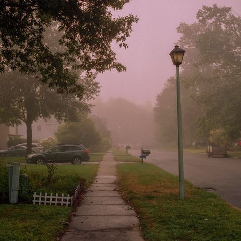 The Road, Trees, Road, Cars, Music