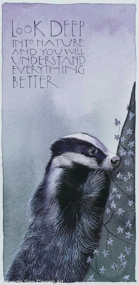 Badger Illustration, Sam Cannon, Honey Badger, Statement Art, Be Grateful, Woodland Creatures, Animal Quotes, Black Dog, Wildlife Art