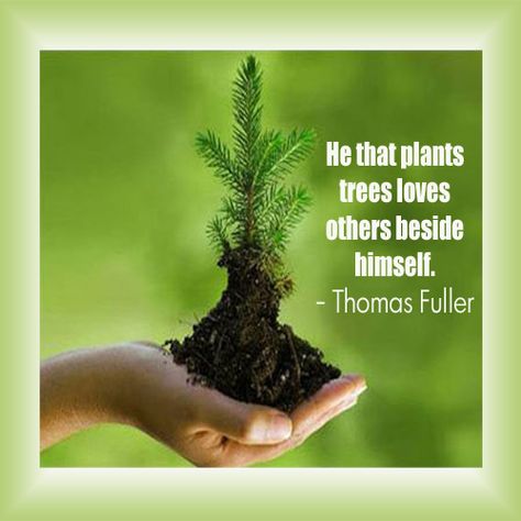 He that plants tree loves others beside himself. ~Thomas Fuller Planting Trees Quotes, Trees Quotes, Earth Day Quotes, Environmental Quotes, Environment Quotes, Tree Quotes, Planting Trees, Plants Quotes, Eden Project