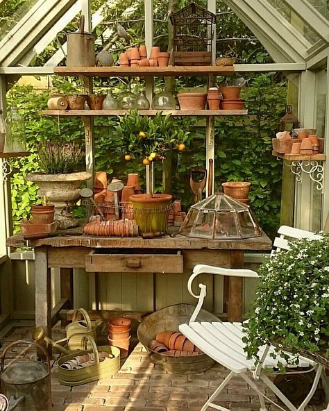 Garden Shed Interiors, Plants And Pots, Greenhouse Shed, Green Houses, Backyard Greenhouse, Small Greenhouse, Greenhouse Plans, Potting Bench, Garden Greenhouse